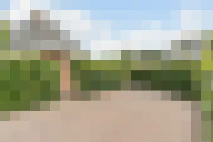 Erebor 7 Geldrop thumbnail 6