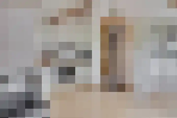 Eremietenhove 9 Leusden thumbnail 12