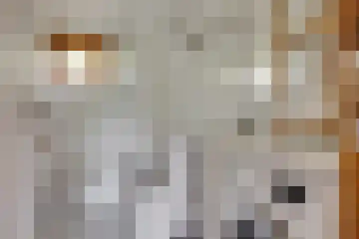 Eremietenhove 9 Leusden thumbnail 19