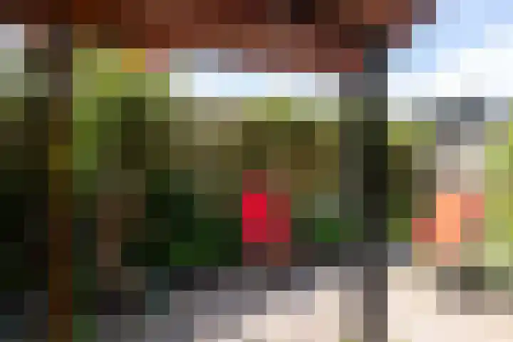 Eremietenhove 9 Leusden thumbnail 20