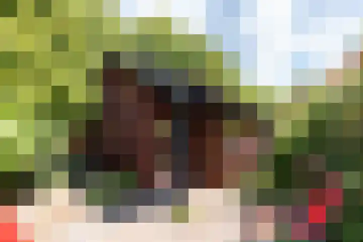 Eremietenhove 9 Leusden thumbnail 25