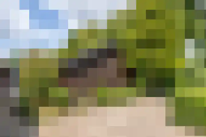Eremietenhove 9 Leusden thumbnail 27