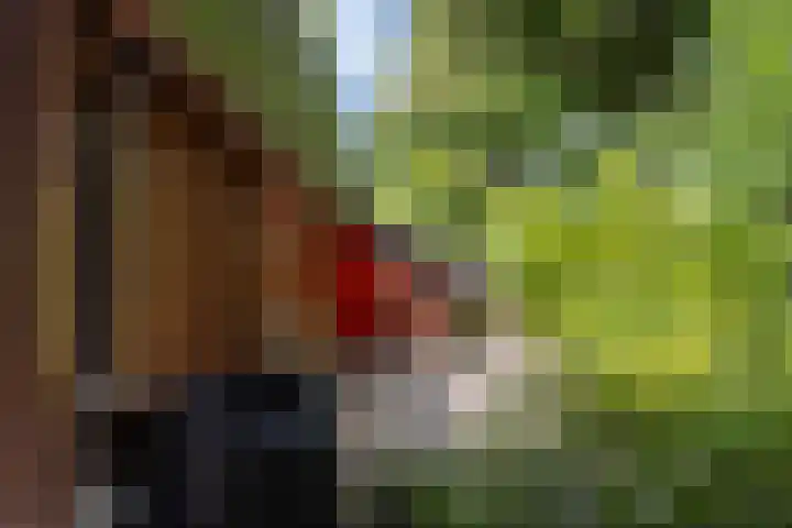Eremietenhove 9 Leusden thumbnail 28