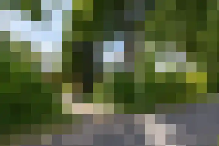 Eremietenhove 9 Leusden thumbnail 29
