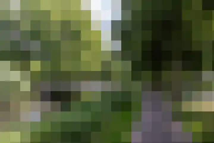 Eremietenhove 9 Leusden thumbnail 30
