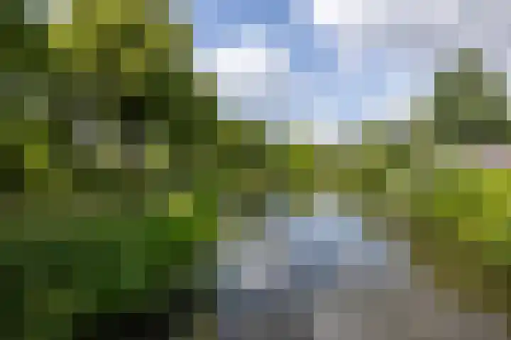 Eremietenhove 9 Leusden thumbnail 31