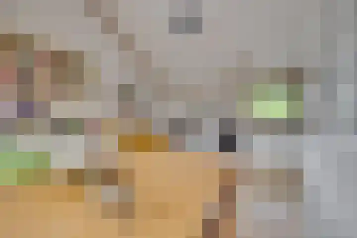 Eremietenhove 9 Leusden thumbnail 8
