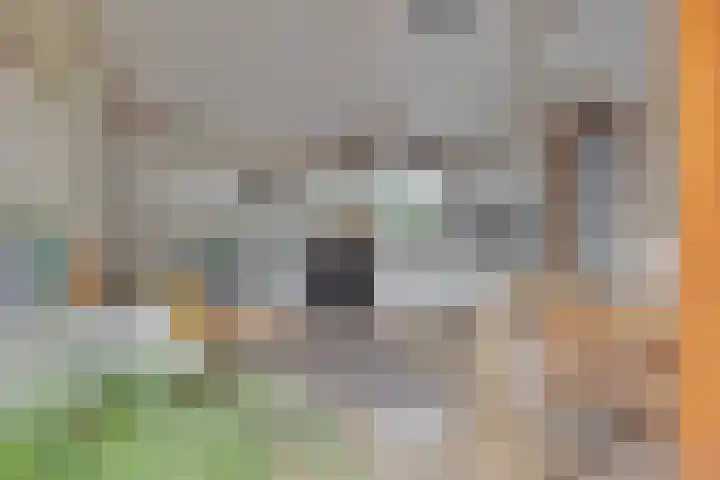 Eremietenhove 9 Leusden thumbnail 9