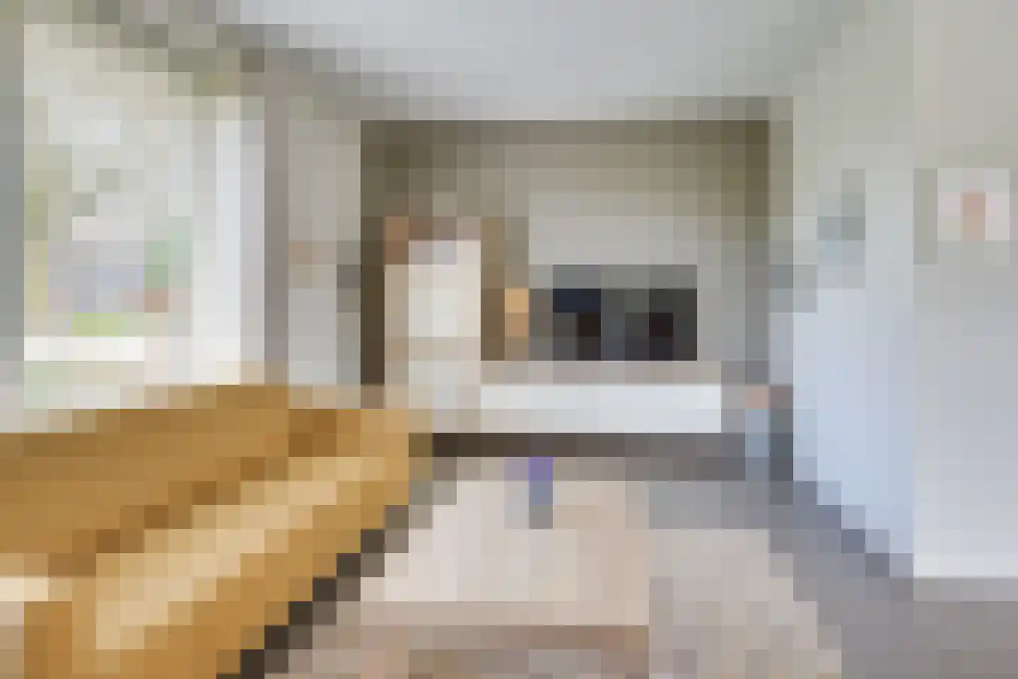 Erenakkerstraat 2 Uden thumbnail 16
