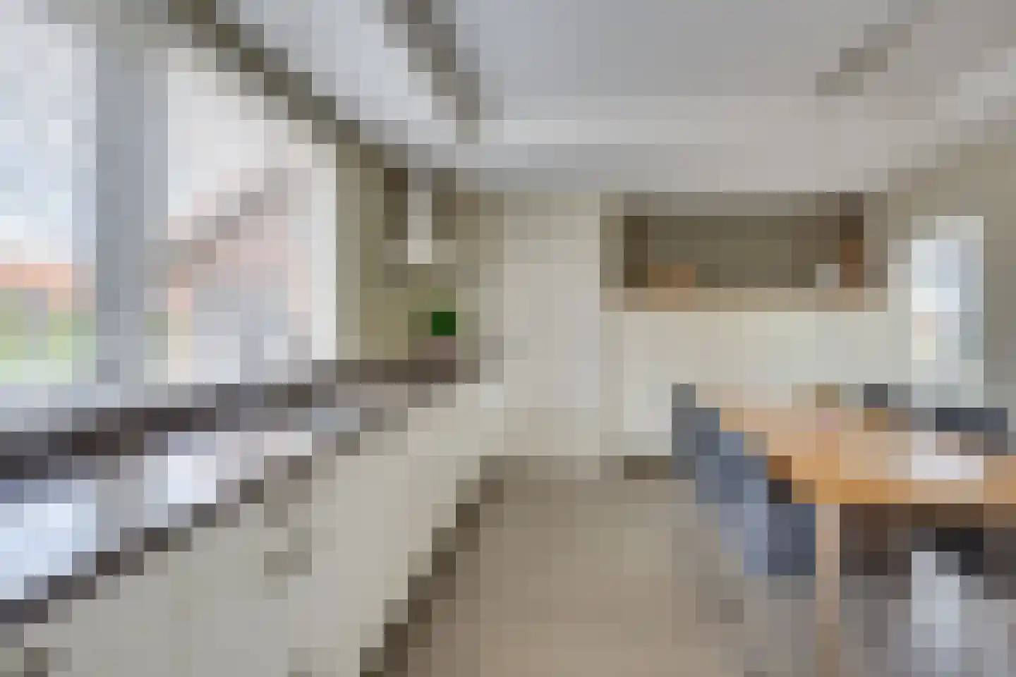 Erenakkerstraat 2 Uden thumbnail 22