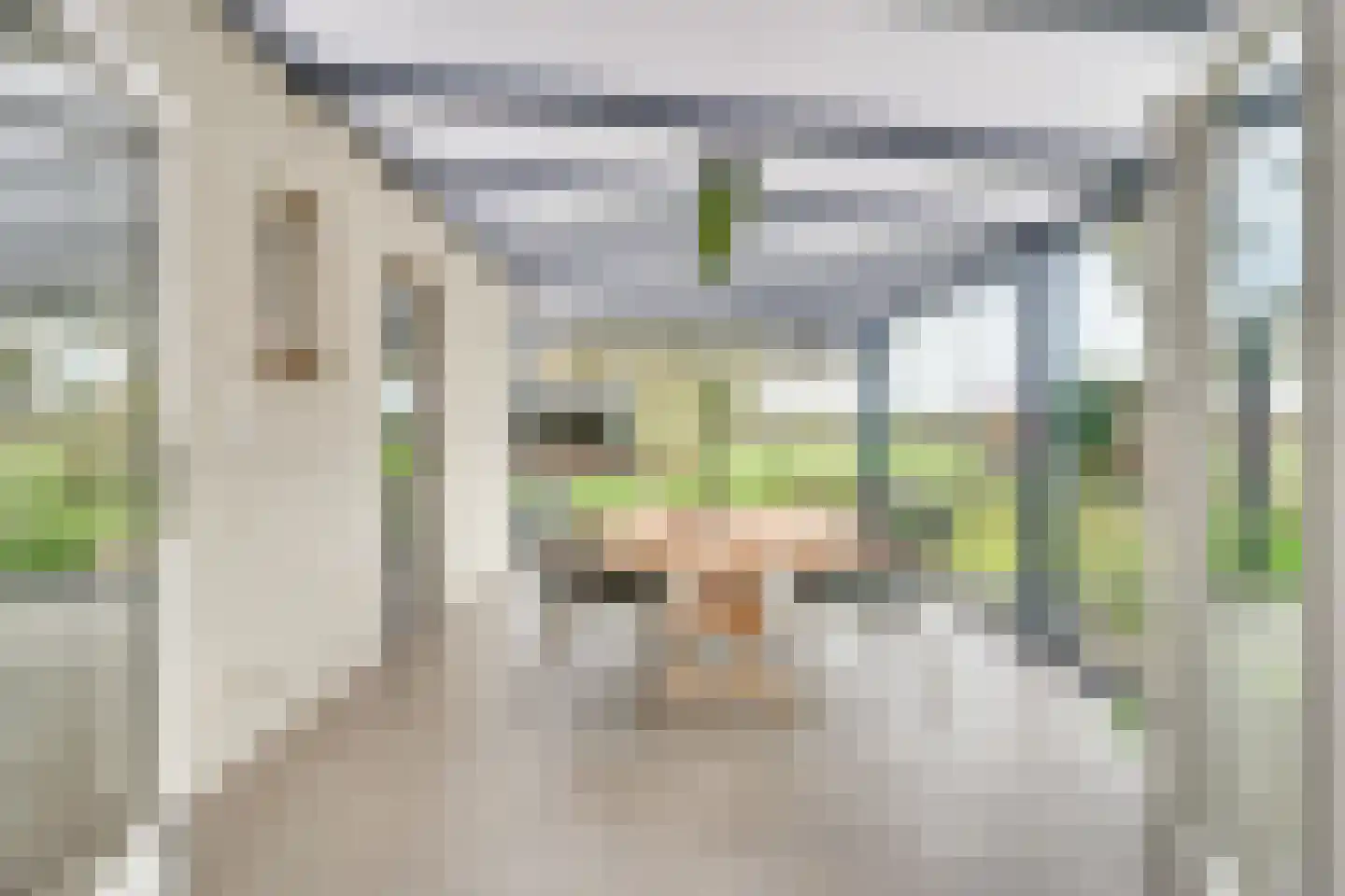 Erenakkerstraat 2 Uden thumbnail 23