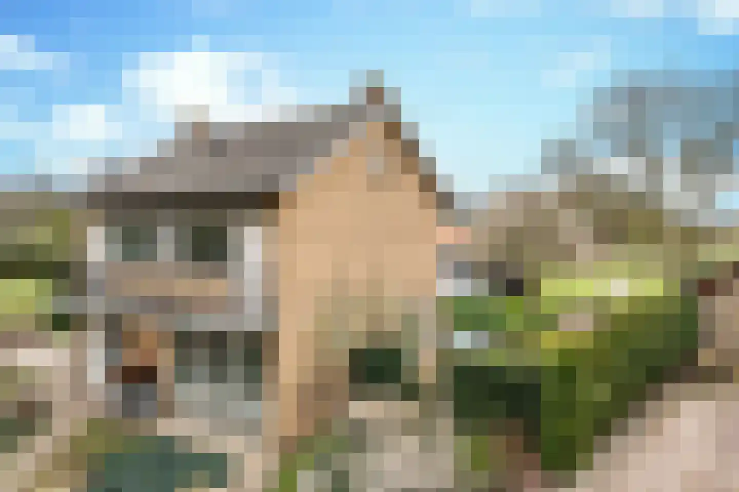 Erenakkerstraat 2 Uden thumbnail 6