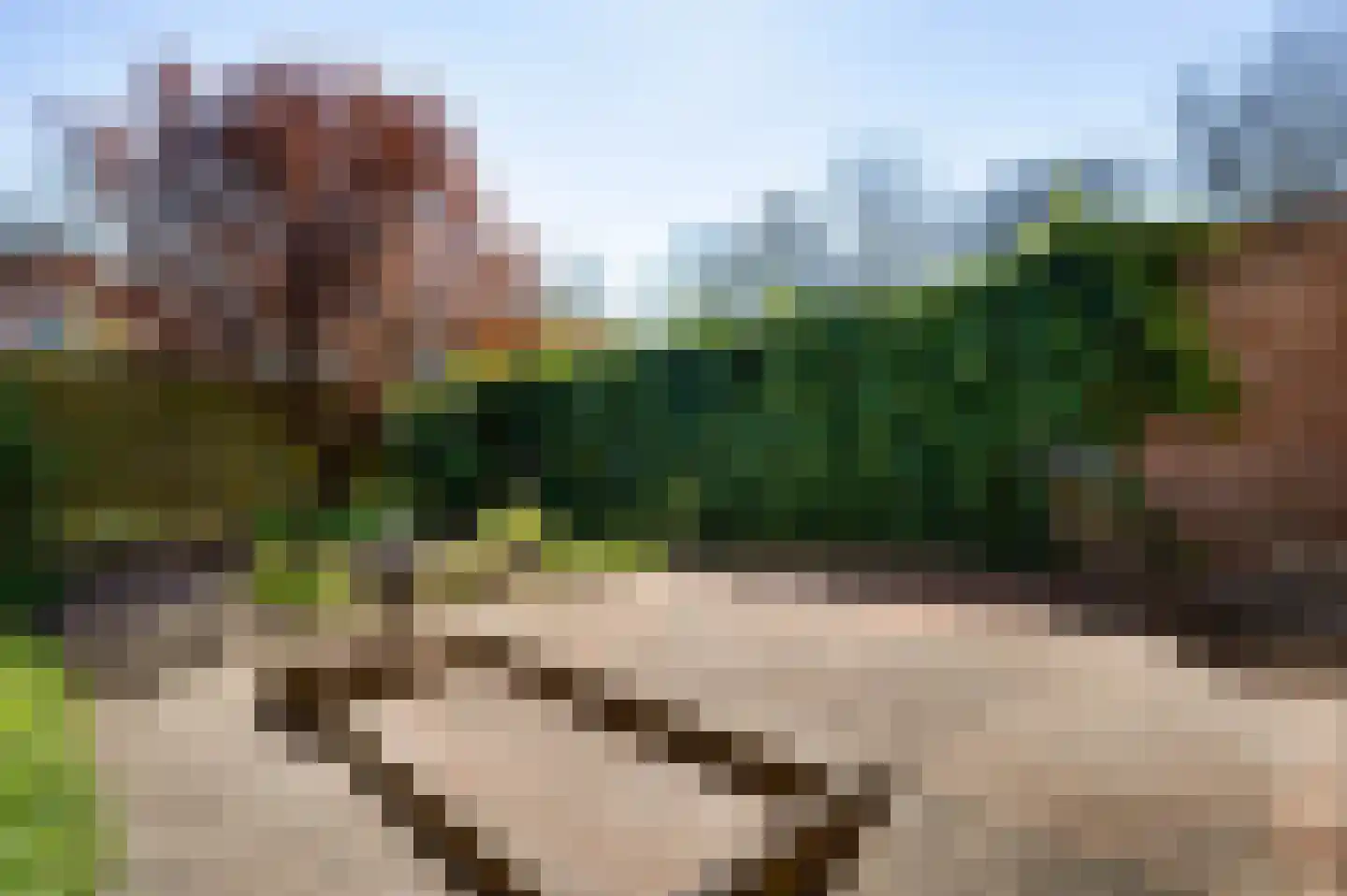 Erenfriedstraat 7 Beek thumbnail 4
