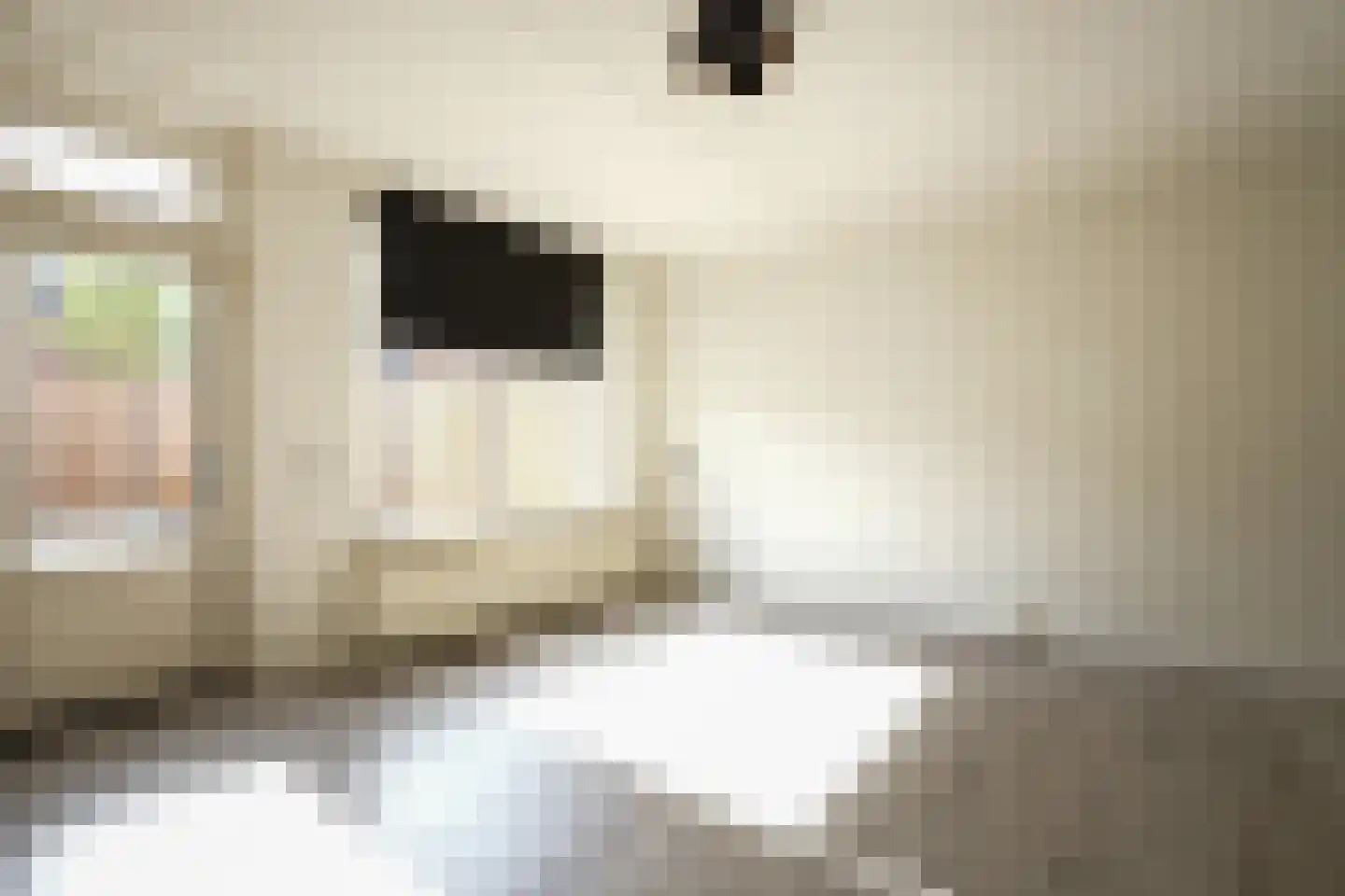 Erensteinerstraat 22 Kerkrade thumbnail 5
