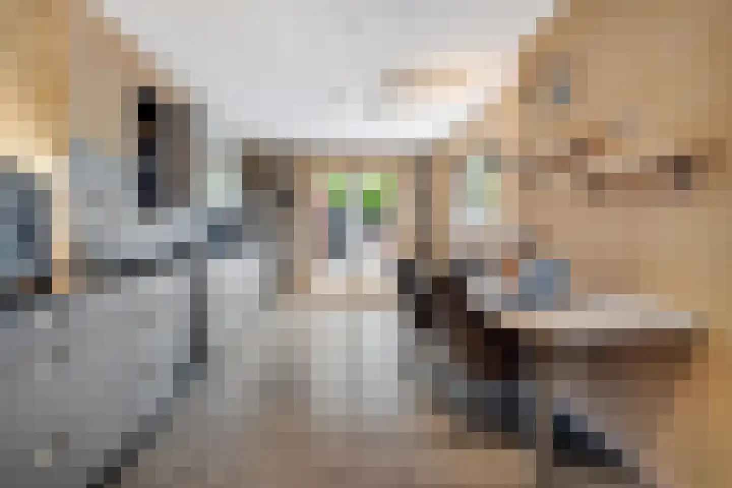 Erensteinerstraat 65 Kerkrade thumbnail 11