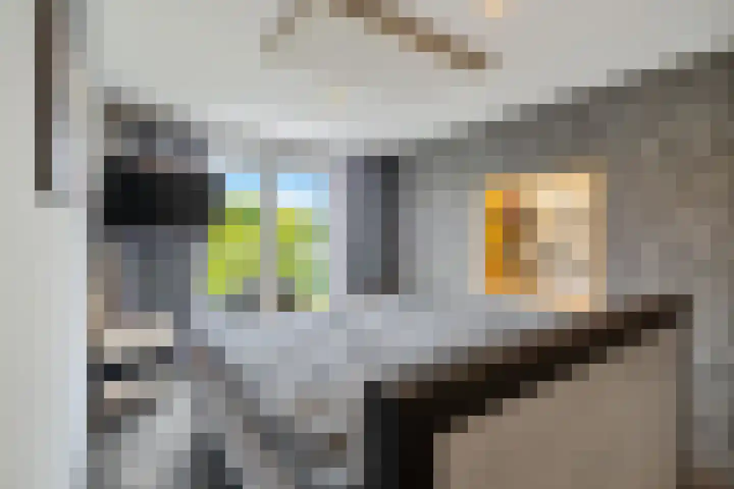 Erensteinerstraat 65 Kerkrade thumbnail 17