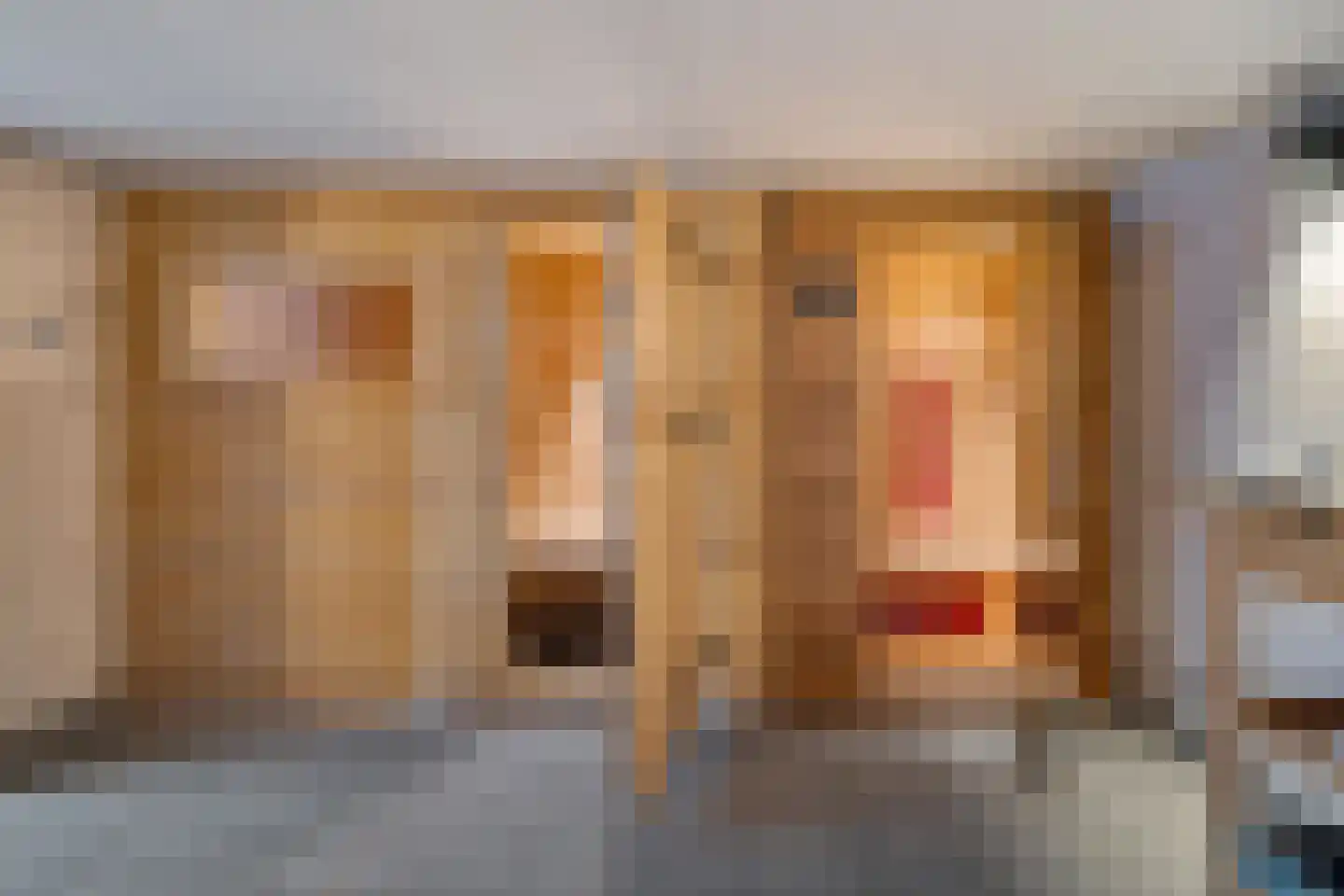 Erensteinerstraat 65 Kerkrade thumbnail 26