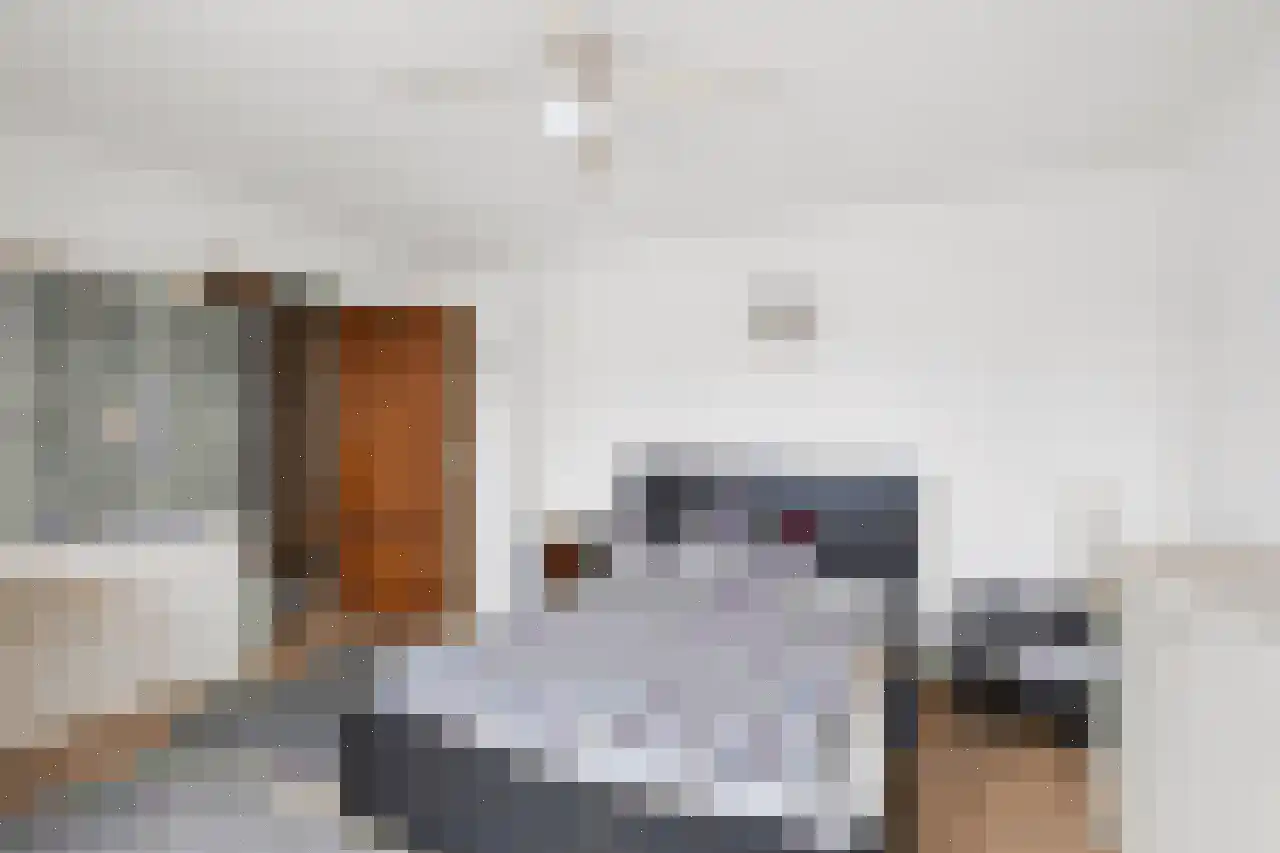 Erensteinerstraat 71 Kerkrade thumbnail 13