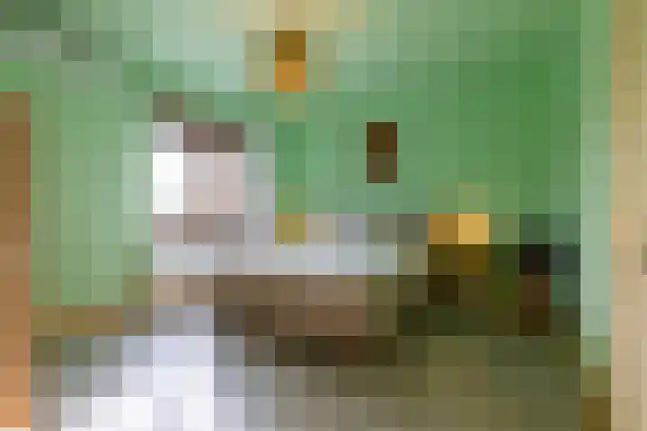 Erensteinerstraat 89 Kerkrade thumbnail 17