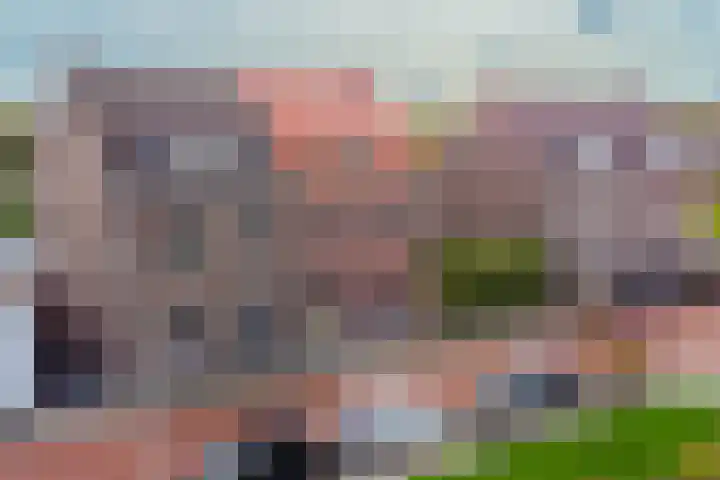 Erensteinerstraat 89 Kerkrade thumbnail 31