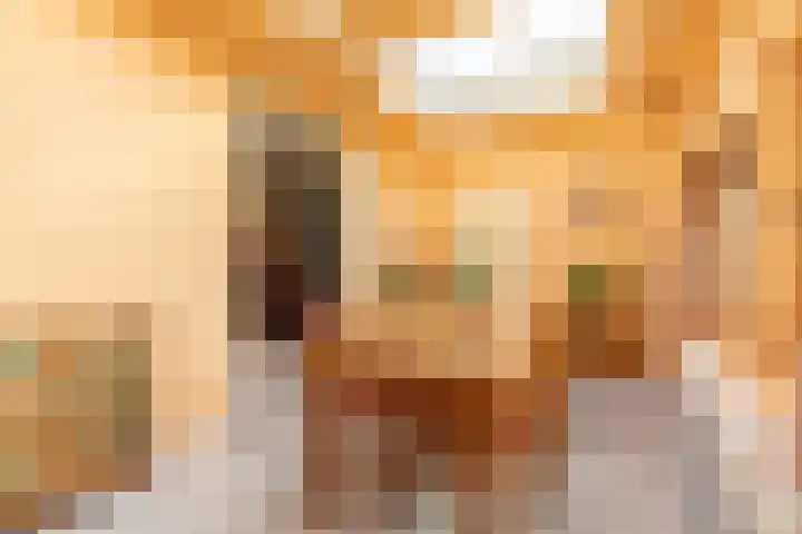 Erensteinerstraat 89 Kerkrade thumbnail 6