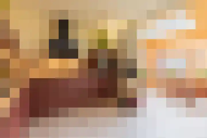 Erensteinerstraat 89 Kerkrade thumbnail 9