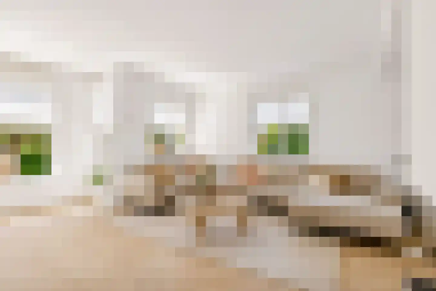 Ereprijs 1 Elburg thumbnail 13