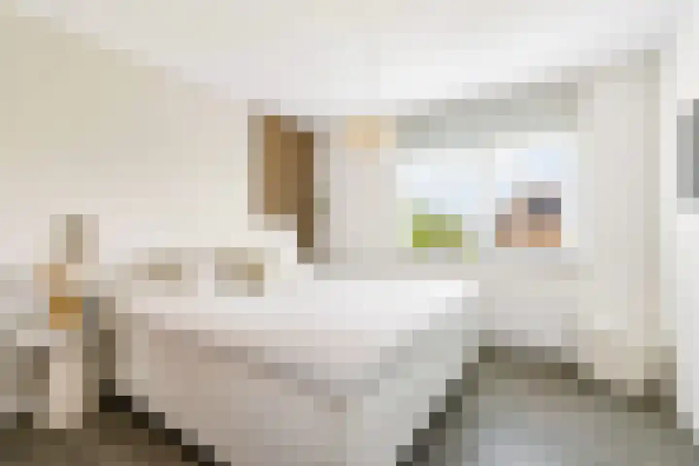Ereprijs 1 Elburg thumbnail 29