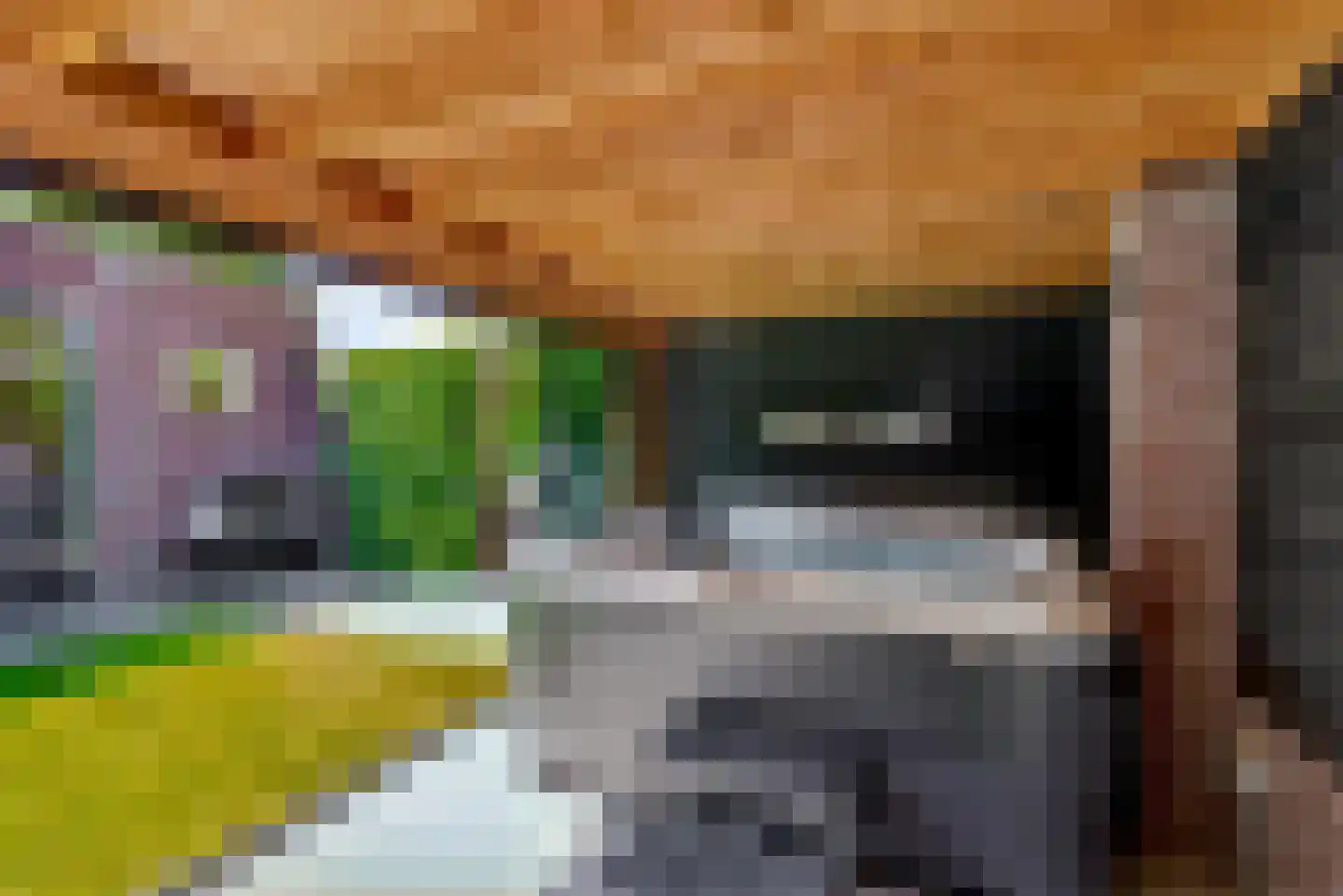 Ereprijs 1 Elburg thumbnail 48