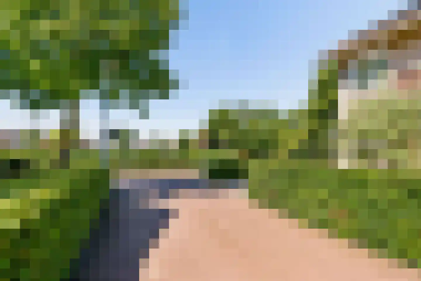 Ereprijs 1 Elburg thumbnail 5