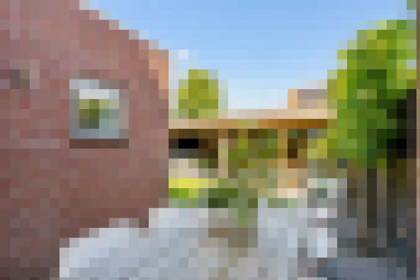 Ereprijs 1 Elburg thumbnail 51