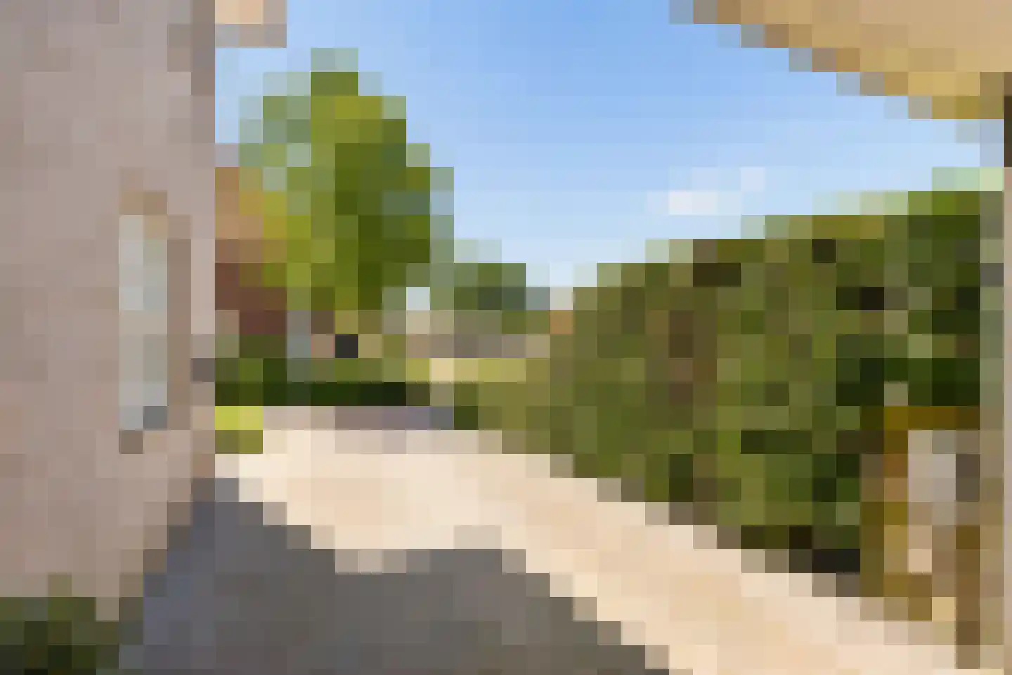 Ereprijs 1 Elburg thumbnail 52