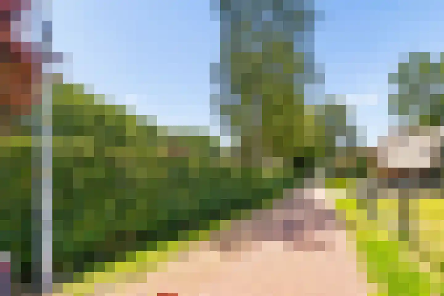 Ereprijs 1 Elburg thumbnail 59