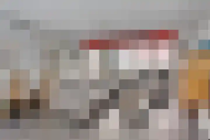 Ereprijs 1 Luyksgestel thumbnail 10