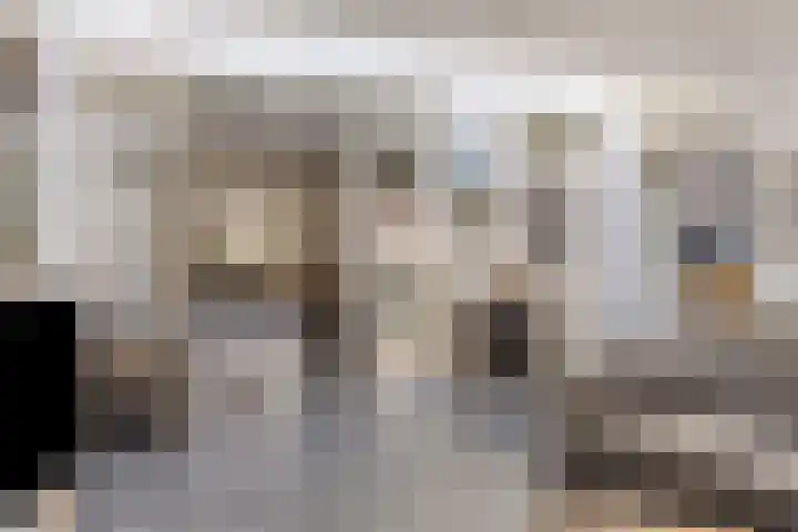 Ereprijs 1 Luyksgestel thumbnail 11