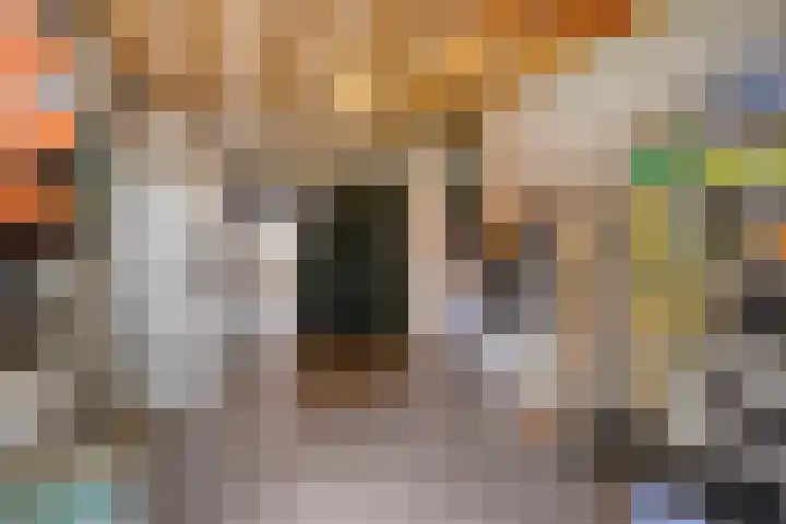 Ereprijs 1 Luyksgestel thumbnail 12