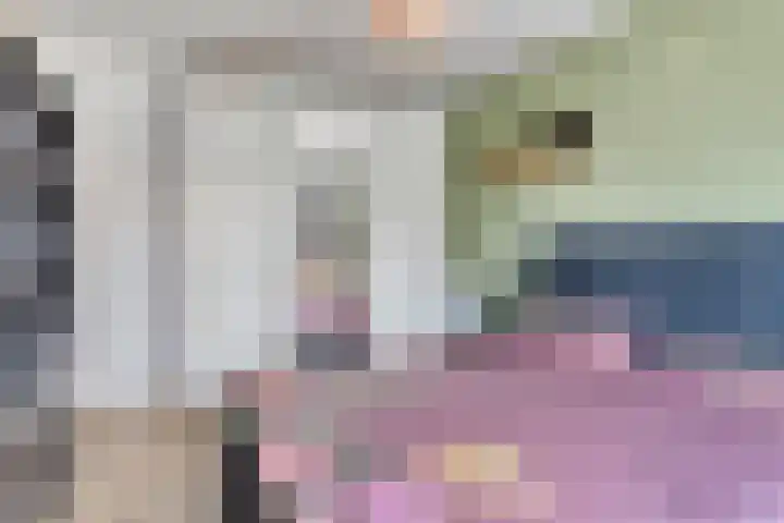 Ereprijs 1 Luyksgestel thumbnail 15