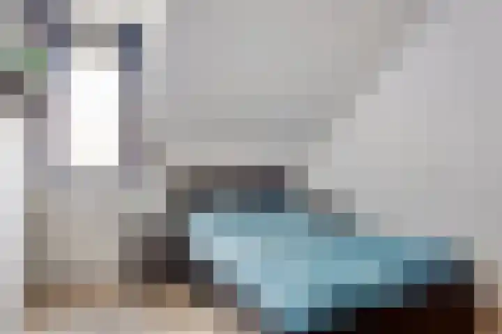 Ereprijs 1 Luyksgestel thumbnail 16