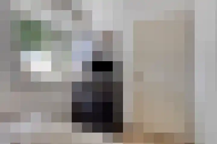 Ereprijs 1 Luyksgestel thumbnail 19