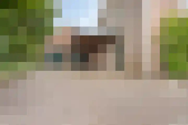 Ereprijs 1 Luyksgestel foto 2