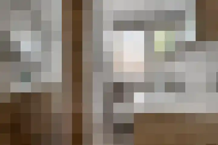 Ereprijs 1 Luyksgestel thumbnail 20
