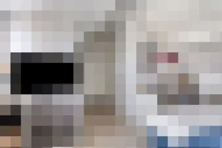 Ereprijs 1 Luyksgestel thumbnail 23