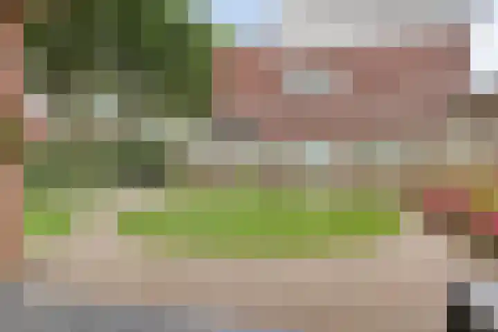 Ereprijs 1 Luyksgestel thumbnail 24