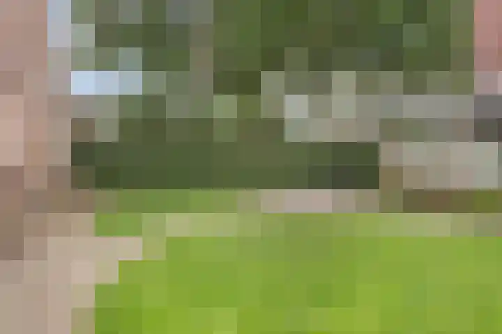 Ereprijs 1 Luyksgestel thumbnail 25