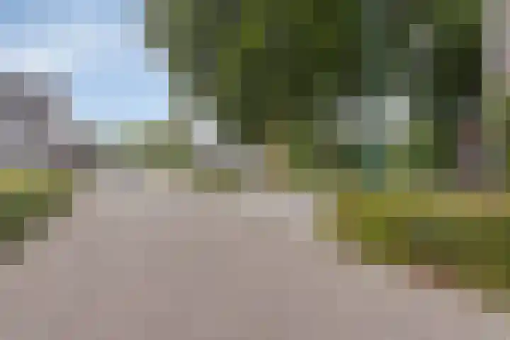 Ereprijs 1 Luyksgestel thumbnail 29