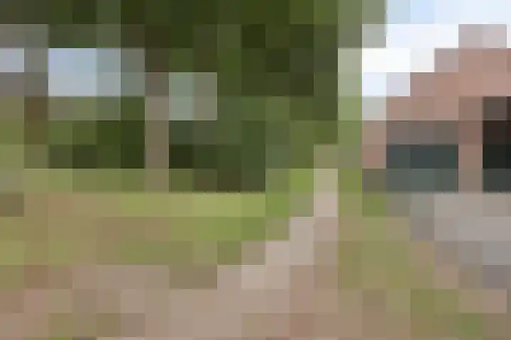 Ereprijs 1 Luyksgestel thumbnail 30