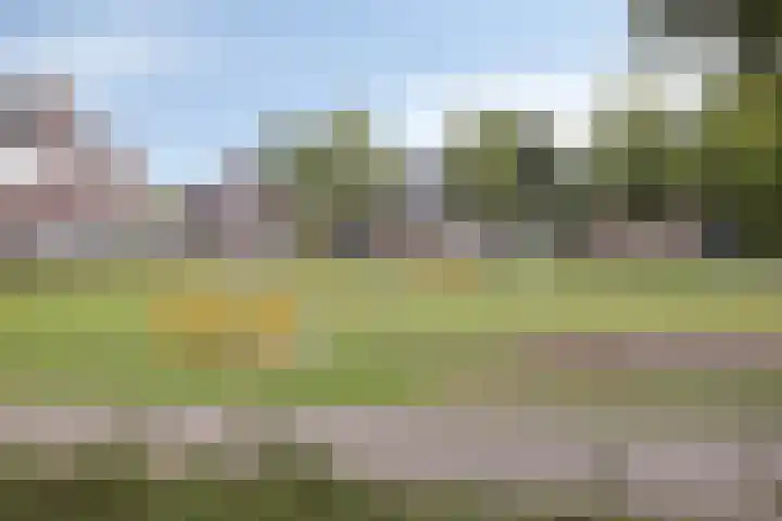 Ereprijs 1 Luyksgestel thumbnail 31