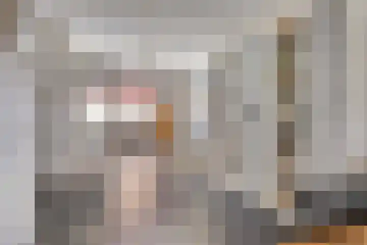 Ereprijs 1 Luyksgestel thumbnail 6