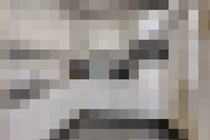 Ereprijs 1 Luyksgestel thumbnail 7
