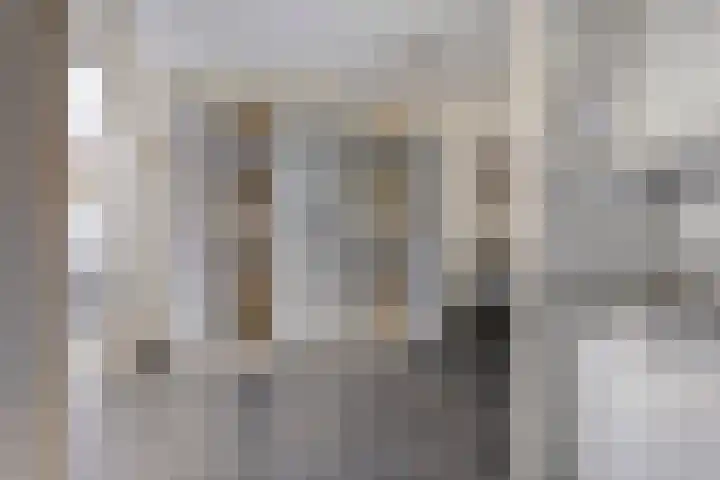 Ereprijs 1 Luyksgestel thumbnail 8